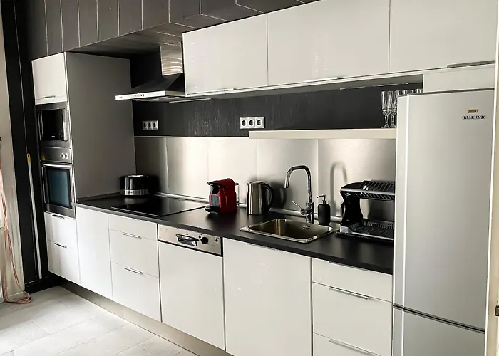 Unique And Spacious Apartment In Downtown