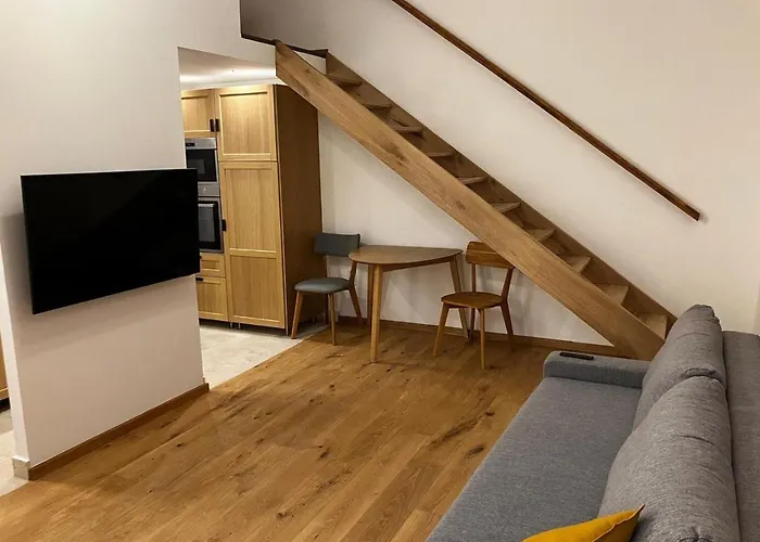 1 Bedroom 1 Sofabed Downtown Apartment