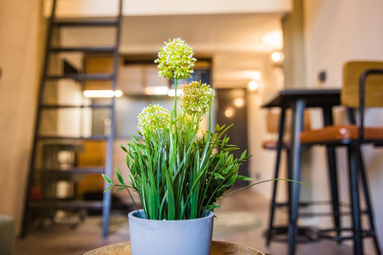 Urbanjungle - Your Trendy Loft In Appartamento Budapest