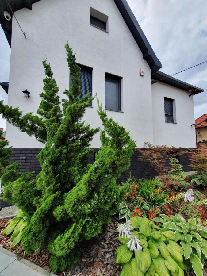 Villa Tweed House *