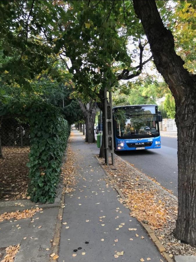 Deviza Budapest