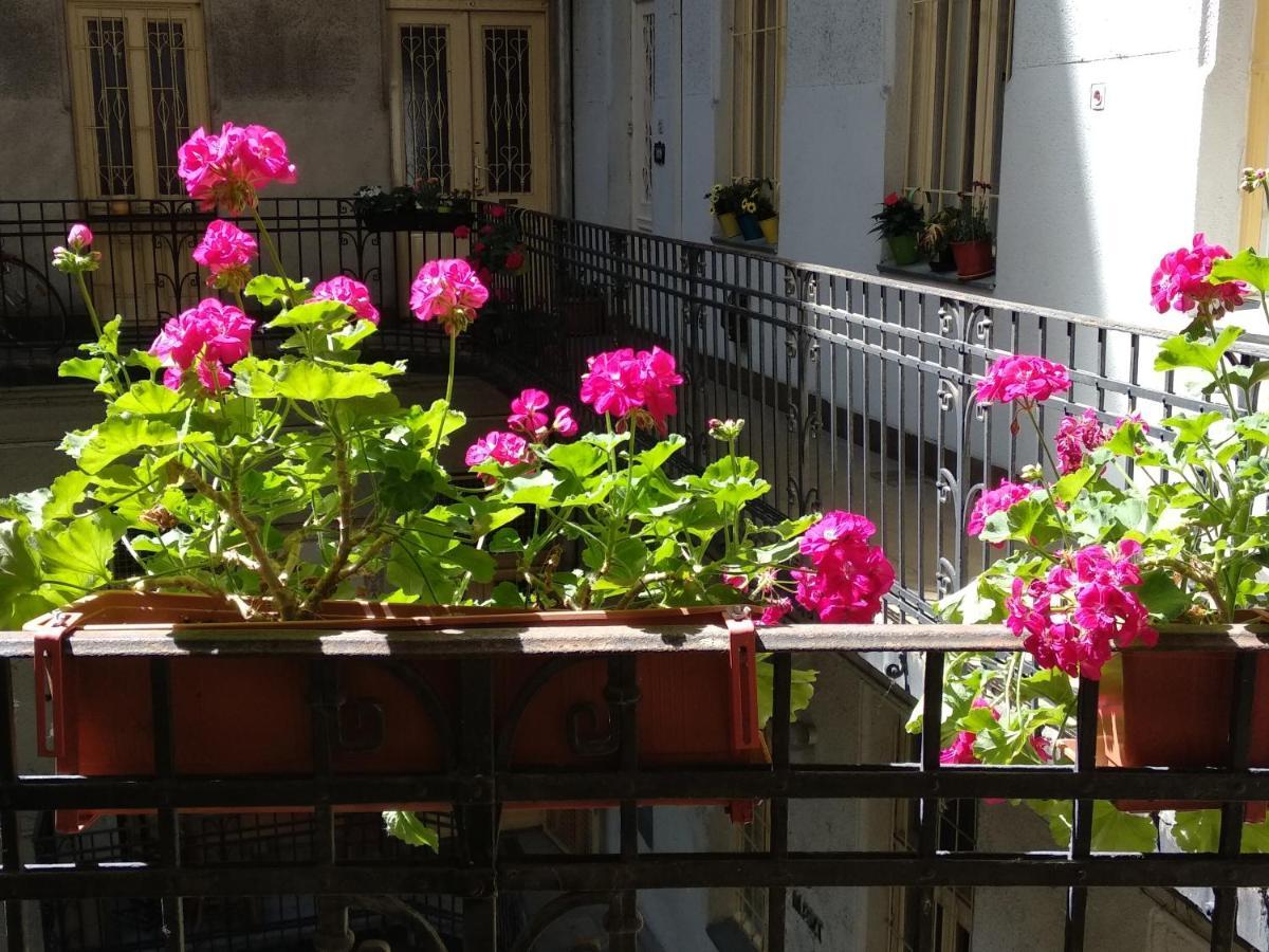 Apartment A Quiet In The Heart Of The Budapest