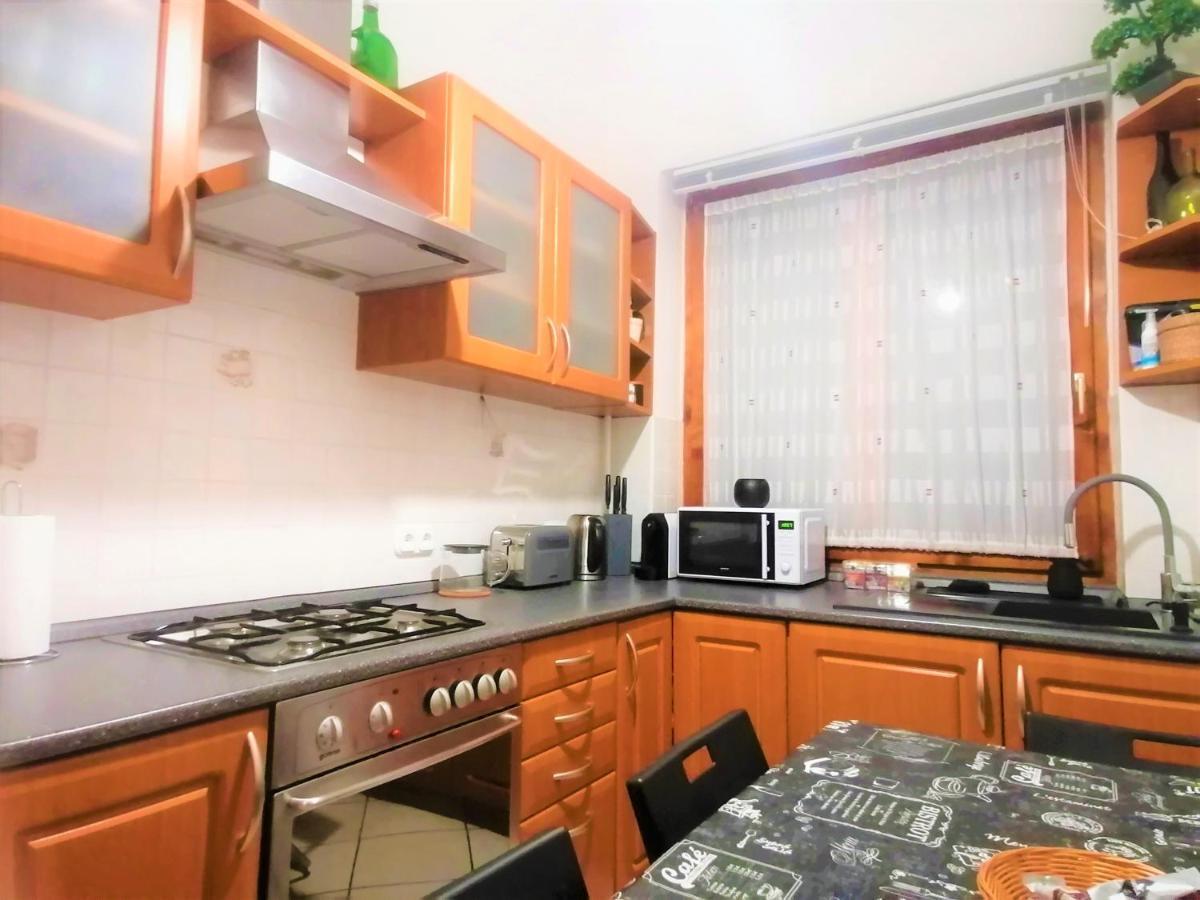 A Jump From Downtown Apartment Budapest