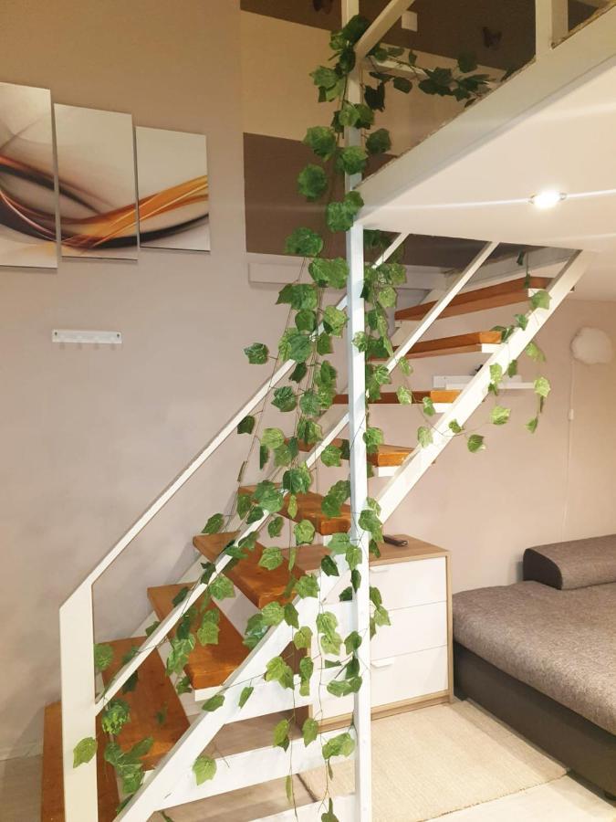 In Downtown Apartament *