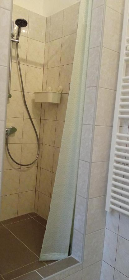 Apartmán Duna Szecsi *