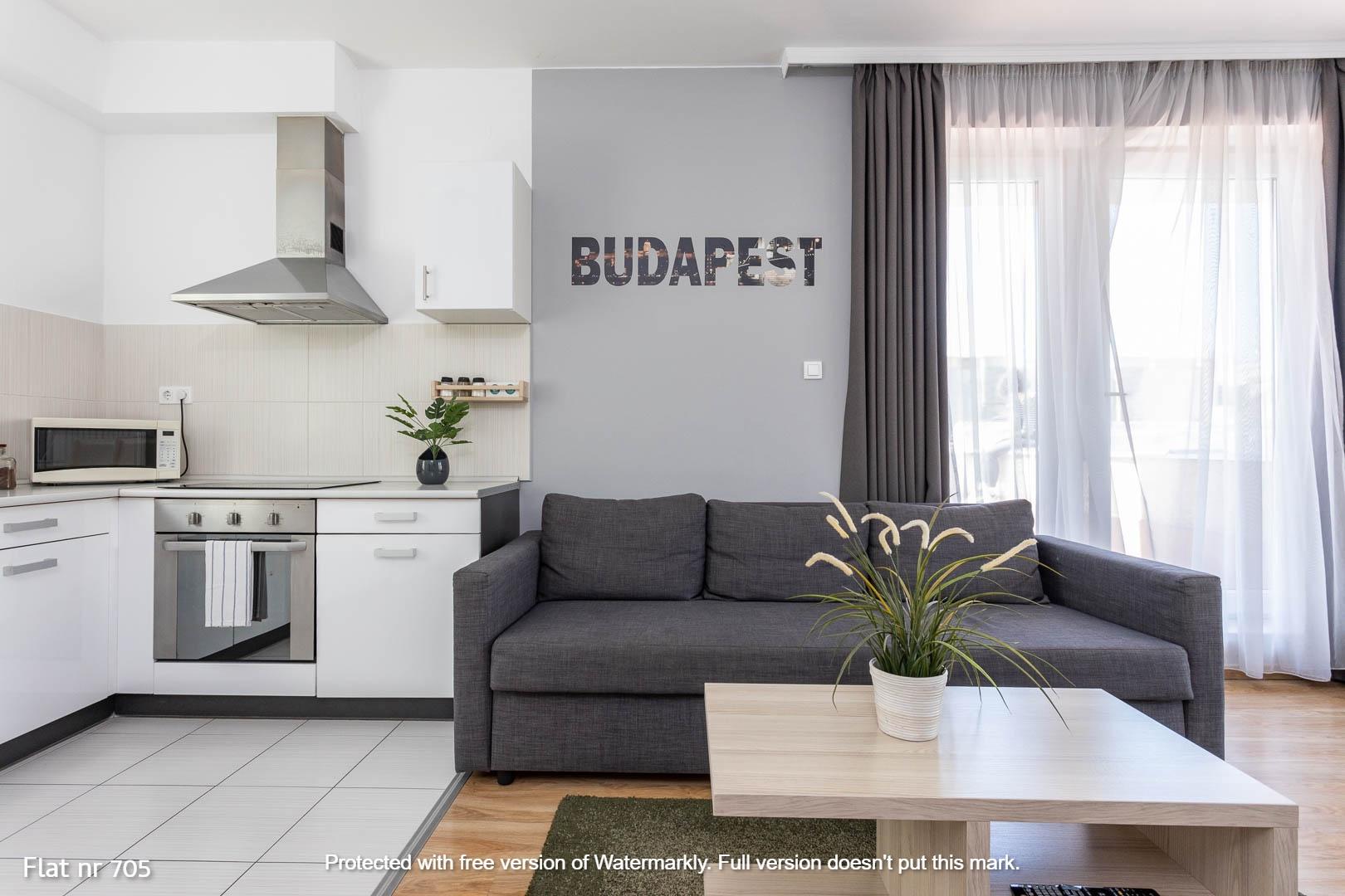 Corvin Plaza Apartamentos&suites
