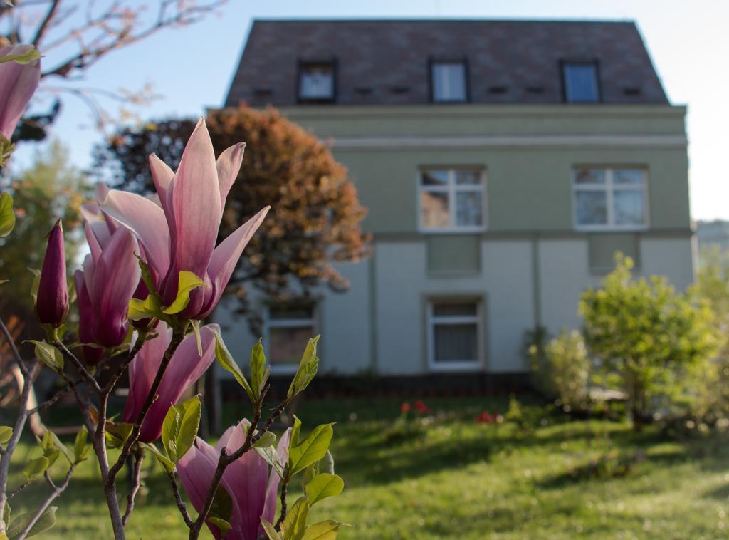 Hotel Jagello Business 3*