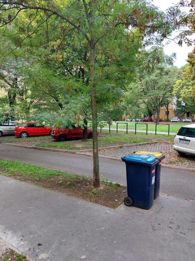 Family Friendly Apartman