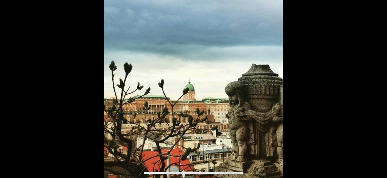 Luxury With Balcony View On Caslte Lägenhet Budapest