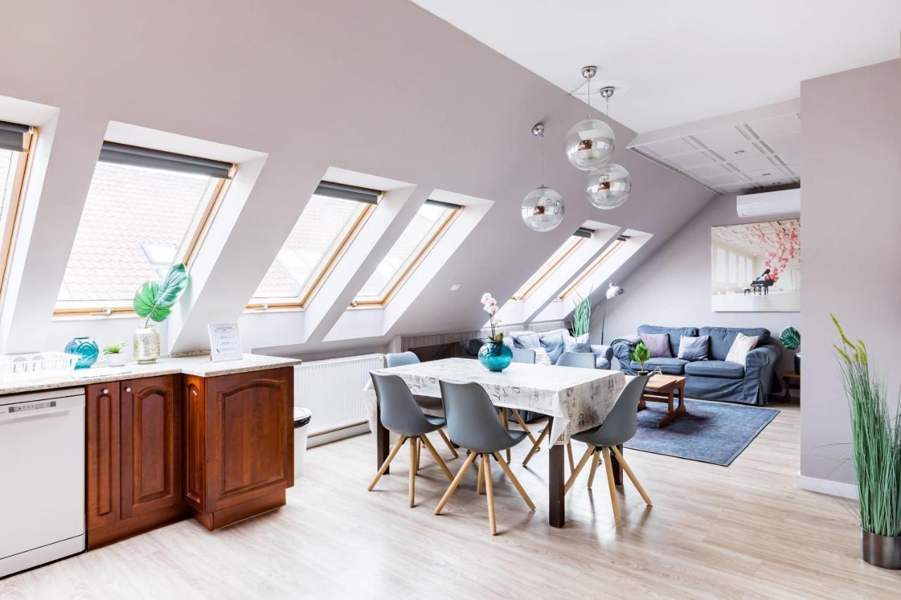 Sunny And Penthouse With Private Garage *