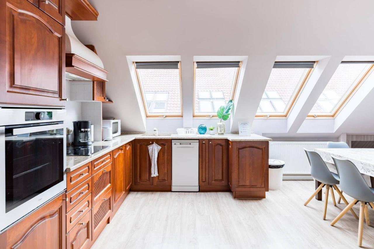 Sunny And Penthouse With Private Garage *