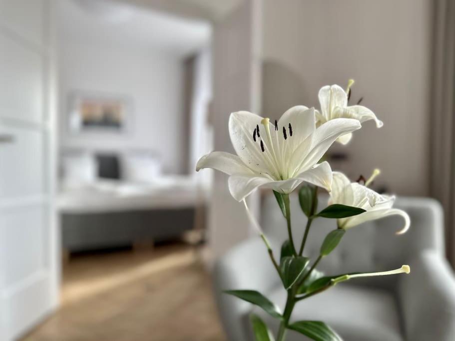 Premium By Hi - 2 Bedroom - View Appartement Budapest
