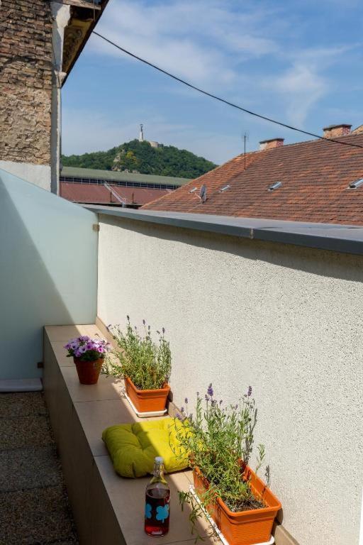 Apartment Erkel Rooftop *
