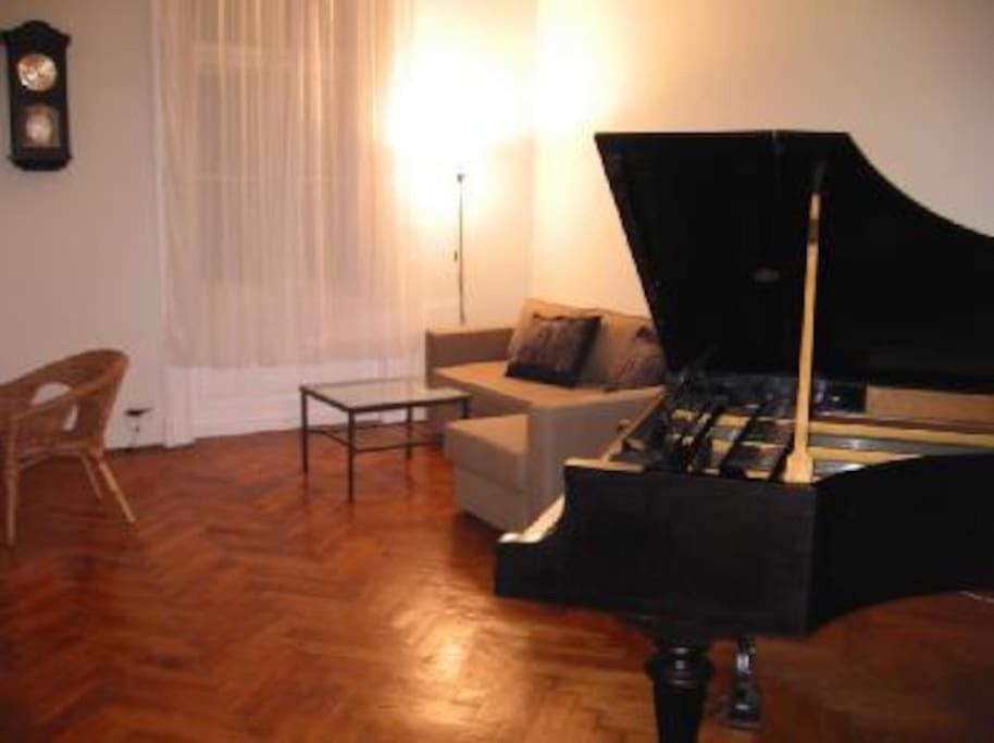 Apartment Airam Center 120m2