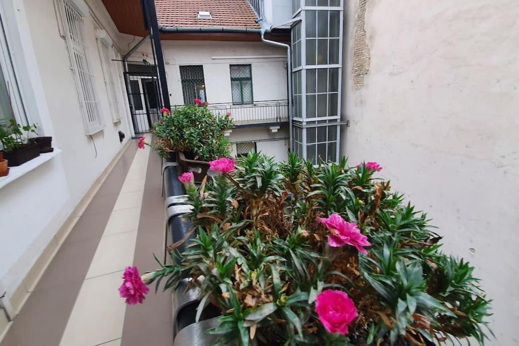 Violet With Air Condition * Budapest