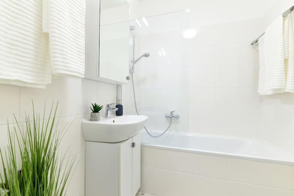 Laurel Bay Apartment