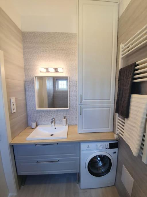 Master With Air Condition And Separated Rooftop Terrace Budapest