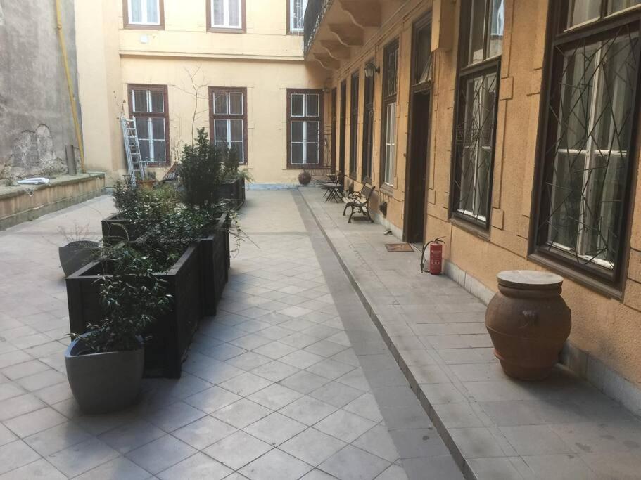 Kiraly Street Apartman