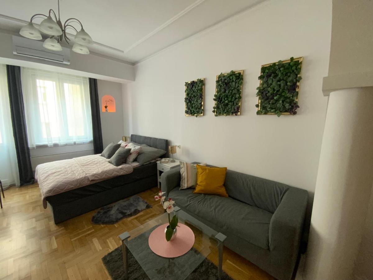 Elegant In The Centre With Ac Apartmán Budapešť
