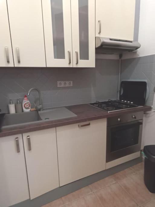 Lejlighed Trendy 2 Flat, Next To Corvin Mall Free Huge Garage! Ac,dishwasher,washmachine, Smart Tv *