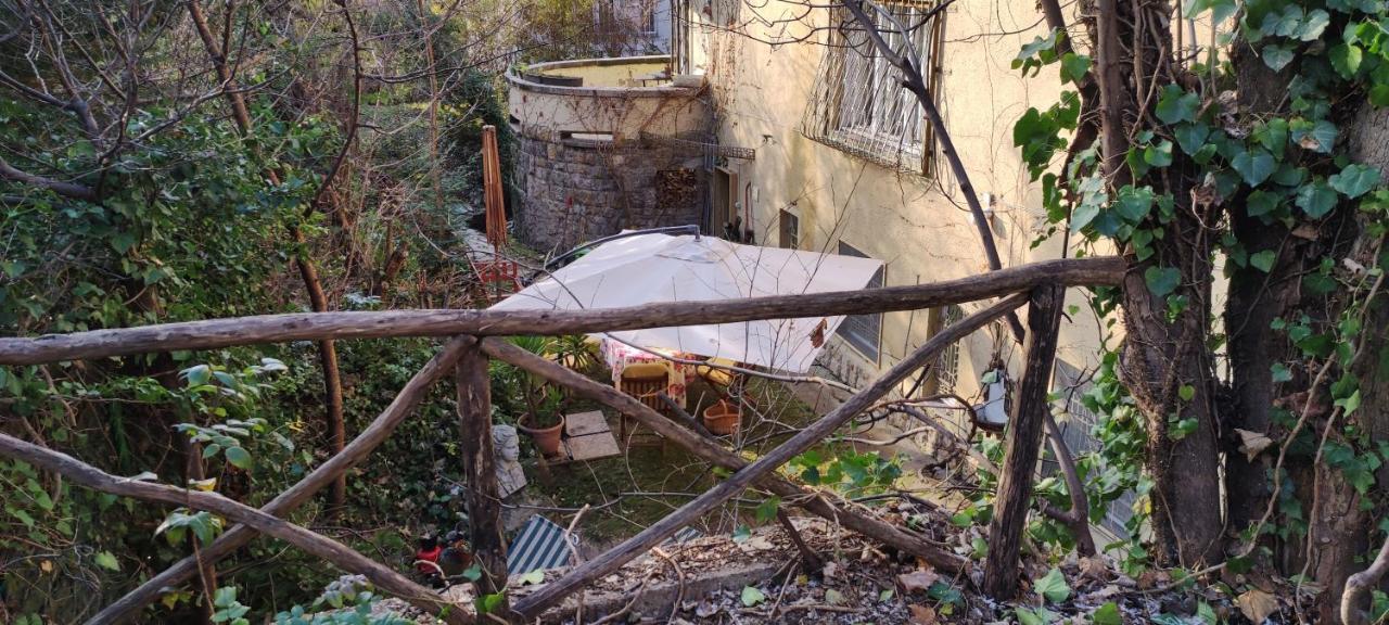 Hedgehog Shelter Budapest