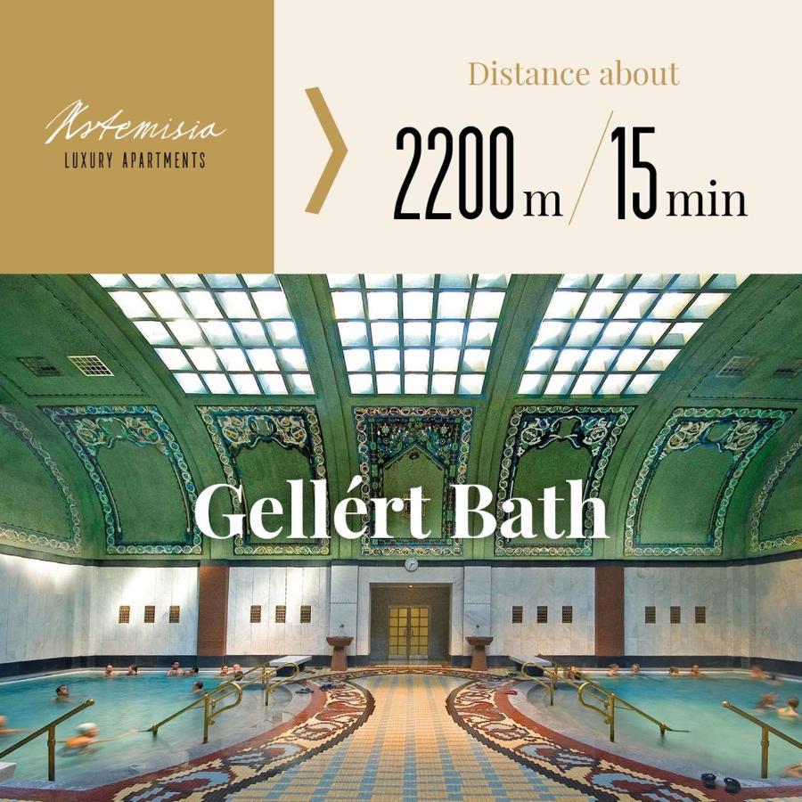 Artemisia Luxury Penthouse * Budapest