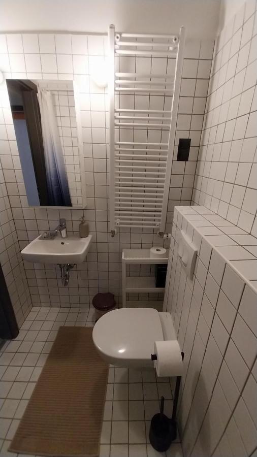 Peaceful Basement With Terrace & Free Gym *