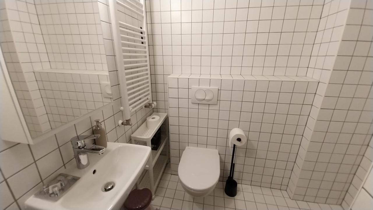 Peaceful Basement With Terrace & Free Gym Apartment