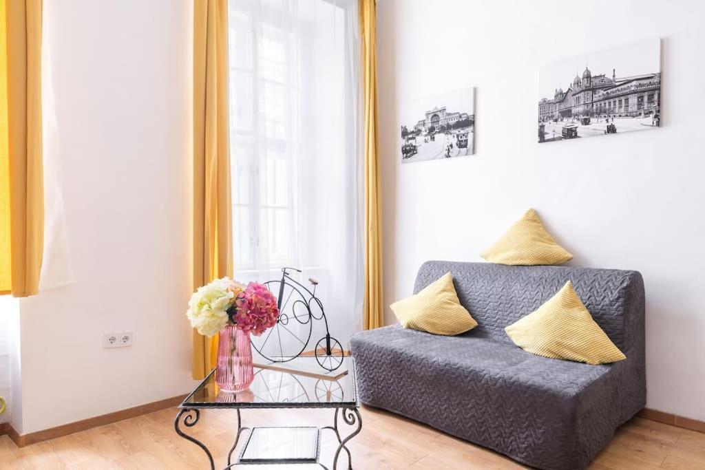 Vintage Style Cozy Downtown Apartment. Appartement *