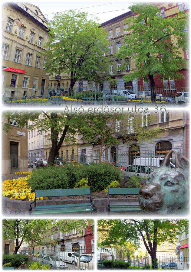 Apartment Elizavarlak