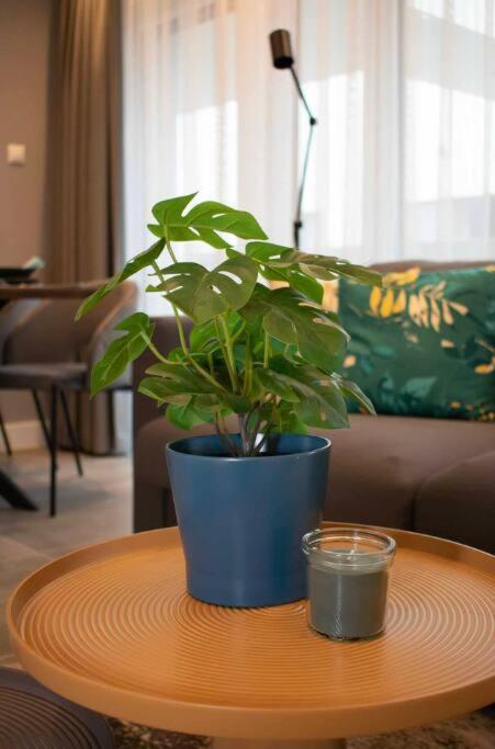 Apartmán Luxury Cozy 2 Bdr Downtown Apt.2