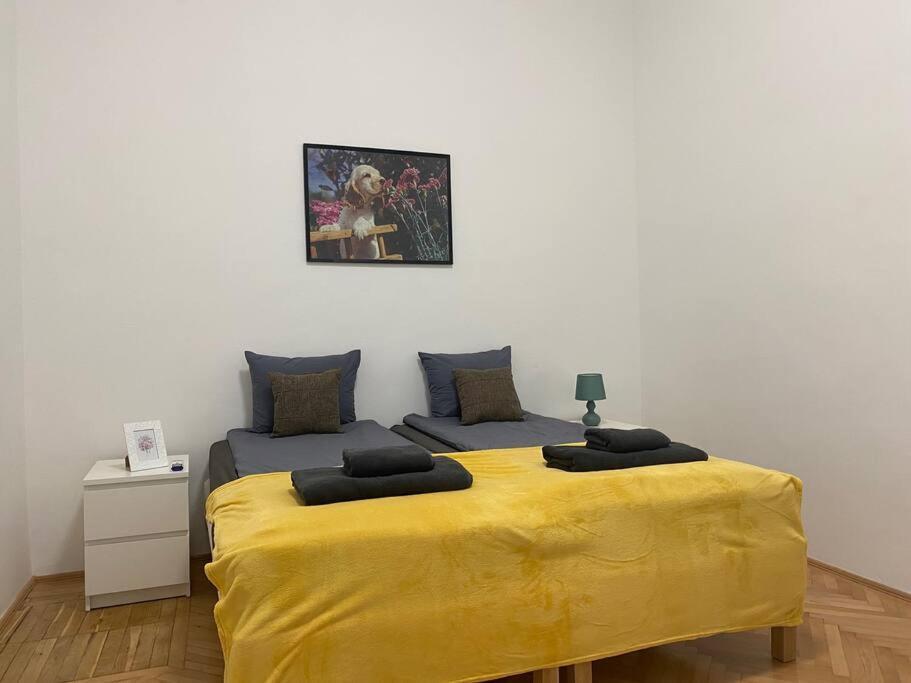 Dob 49 Renovated Appartement *