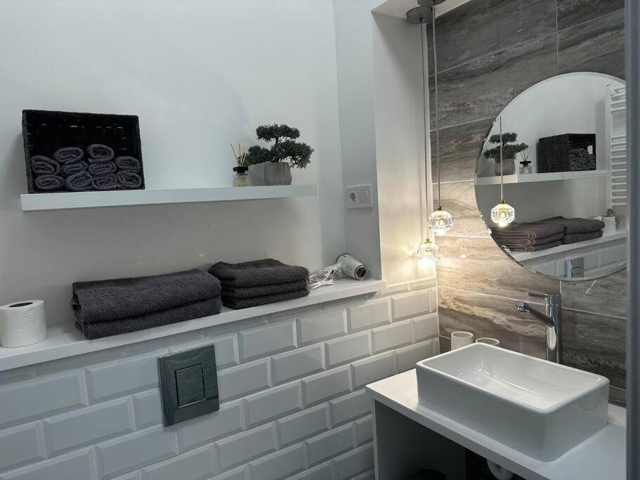 Luxury Downtown Apartment