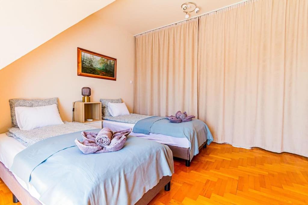 Roomy 80sqm At Center Free Parking Space, Ac & Balcony * Budapest