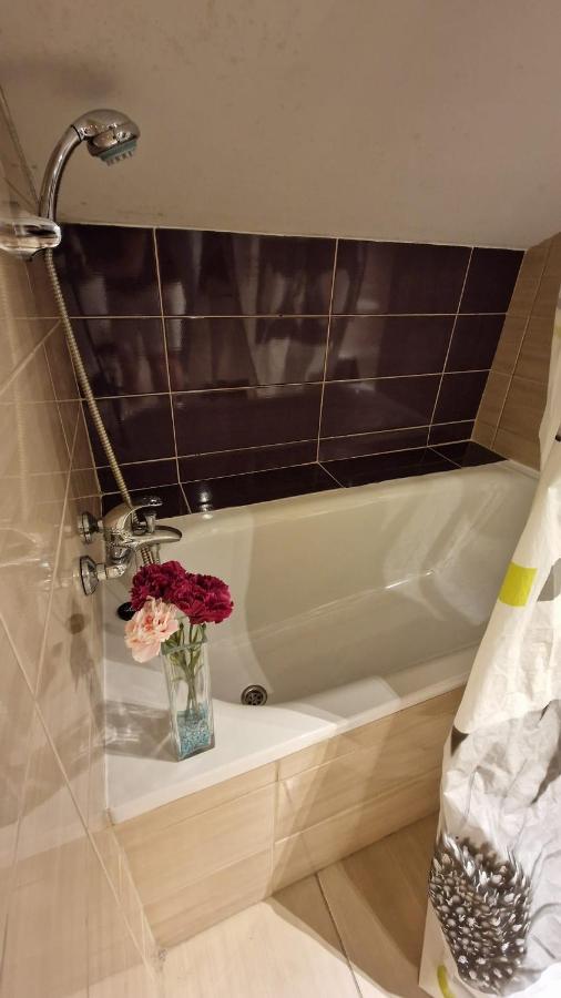 Turquoise Lofts Homestay