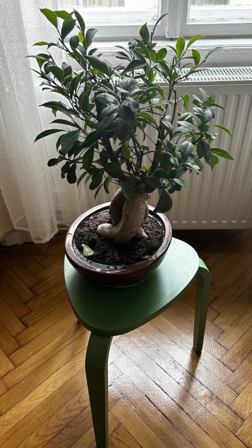 Margaret & Violet Apartments - Peaceful Stay Downtown Budapest