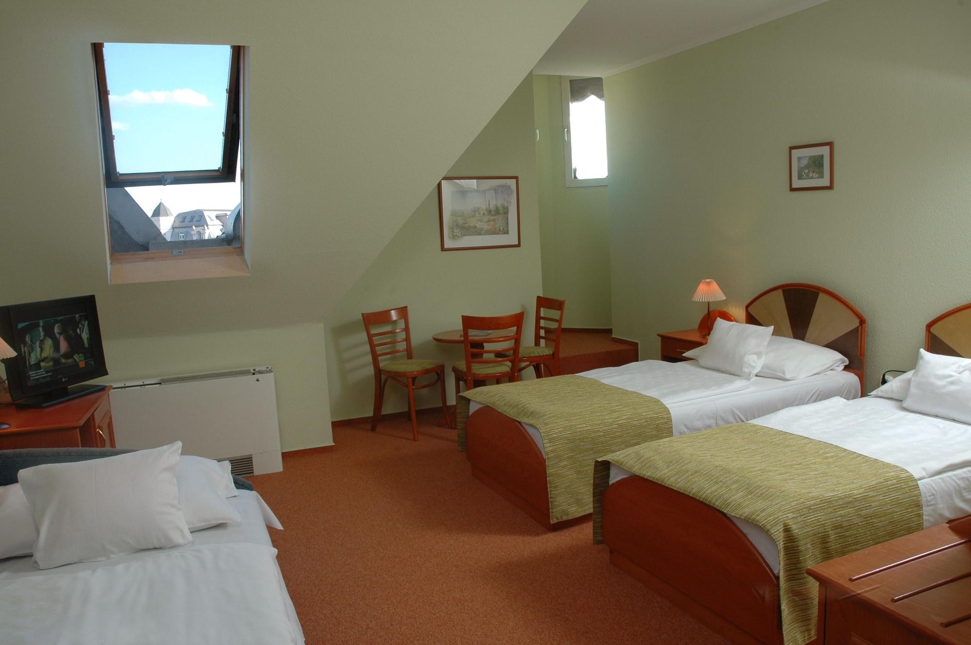 Hotel Baross -