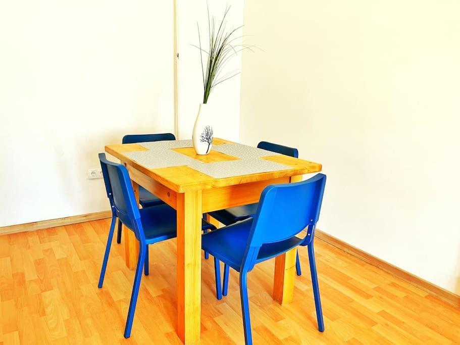 Lejlighed Spacious Flat