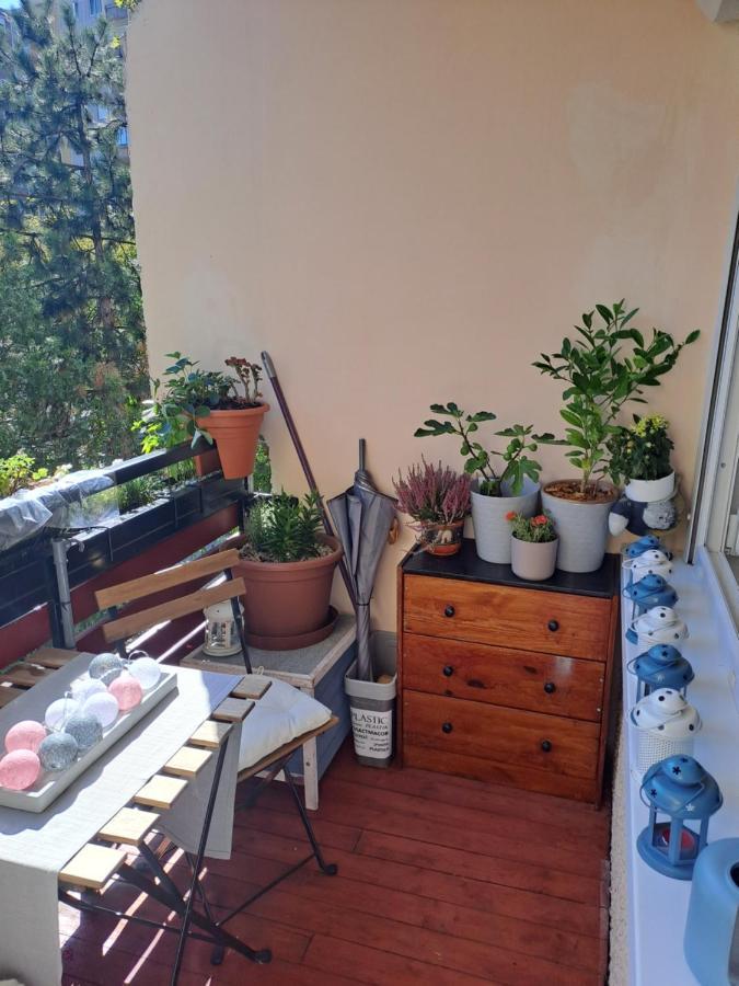 Apartamento Cozy