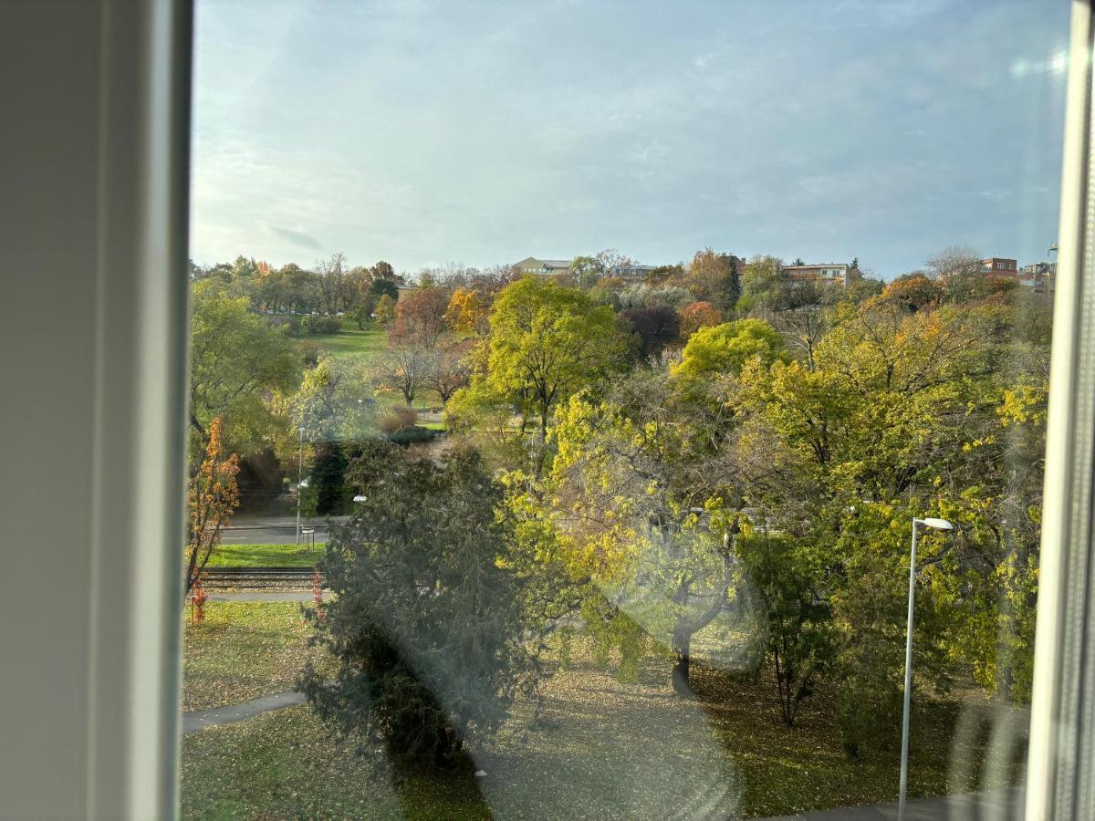 Apartment Cozy Panorama Next To The Buda Castle