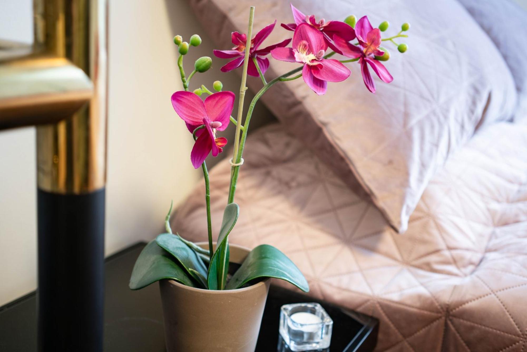 Stylish Studio In The Heart Of Budapest
