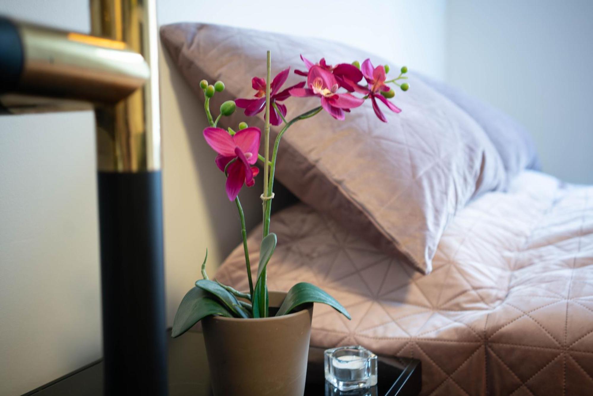 Stylish Studio In The Heart Of *