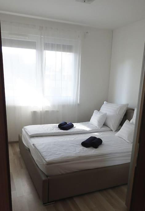 Lux Cordia With Free Parking Apartman