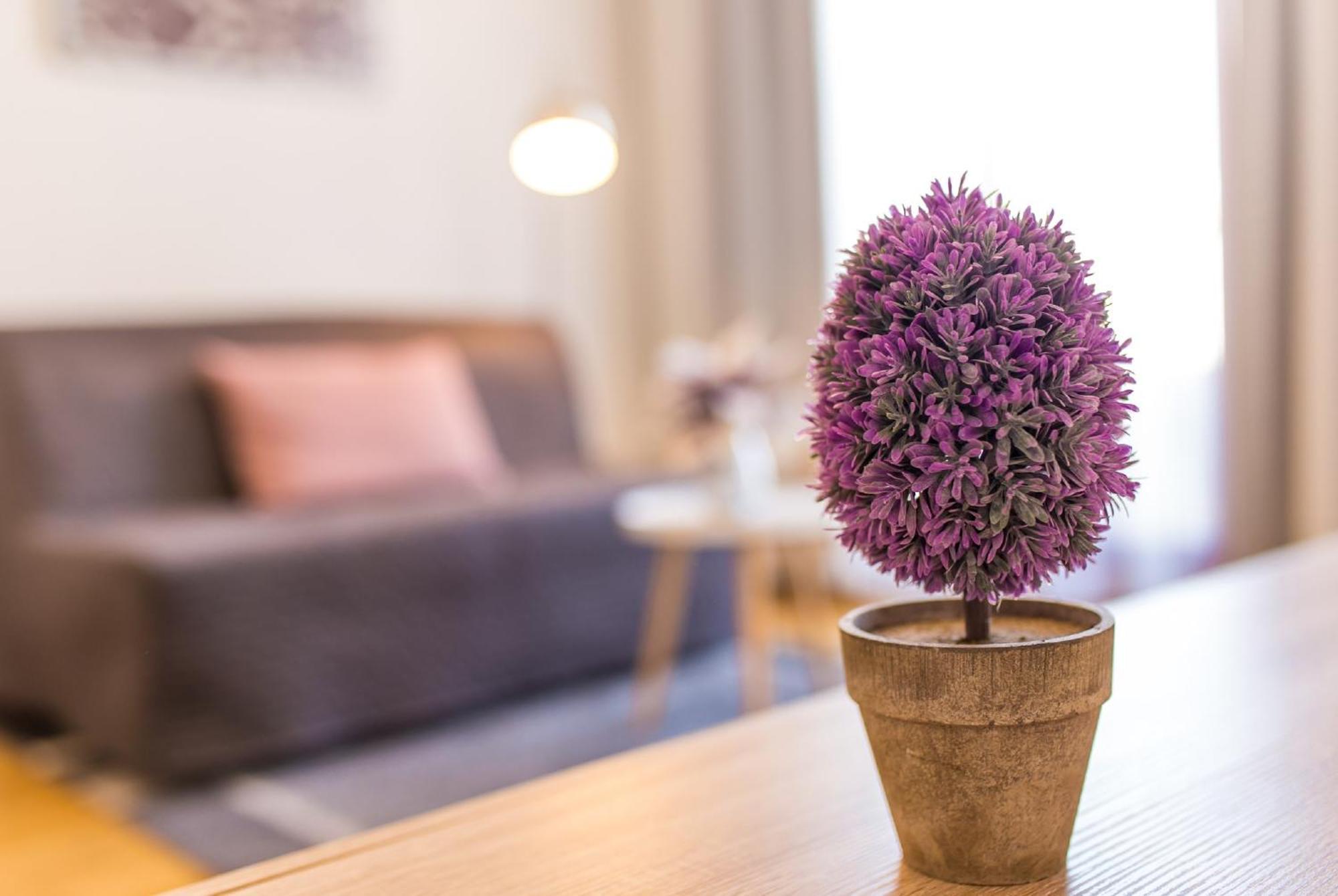 Colours Deluxe With Free Parking Apartment