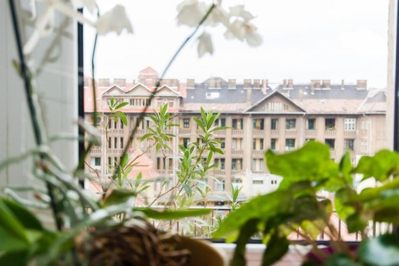 Apartman Skydive Budapest