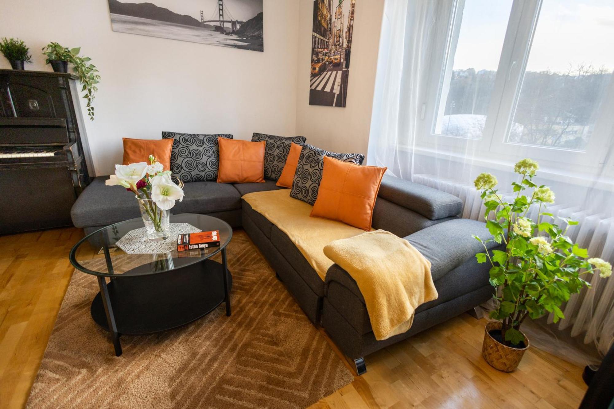 Cozy Panorama Next To The Buda Castle