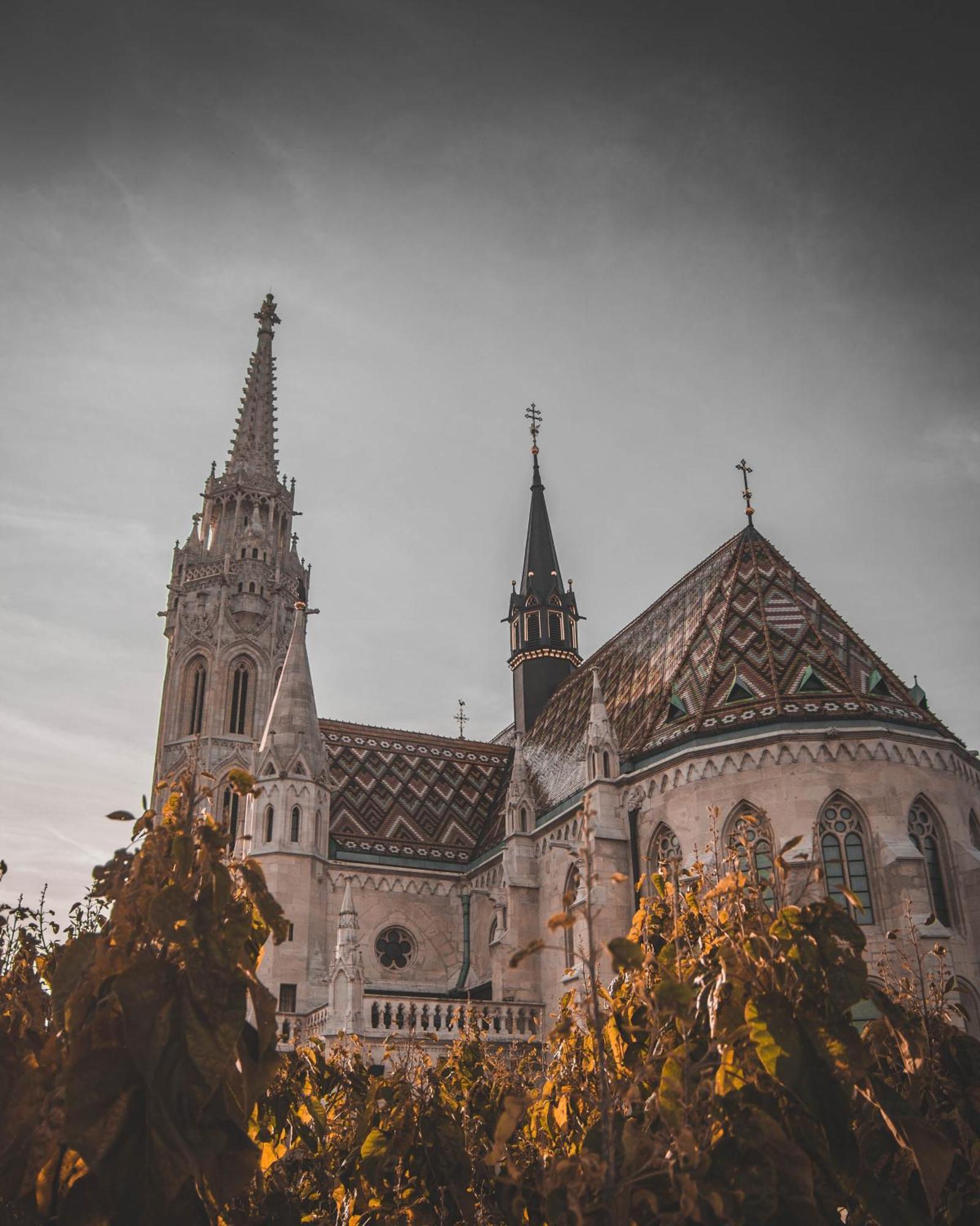 Scenic By Buda Castle * Budapest
