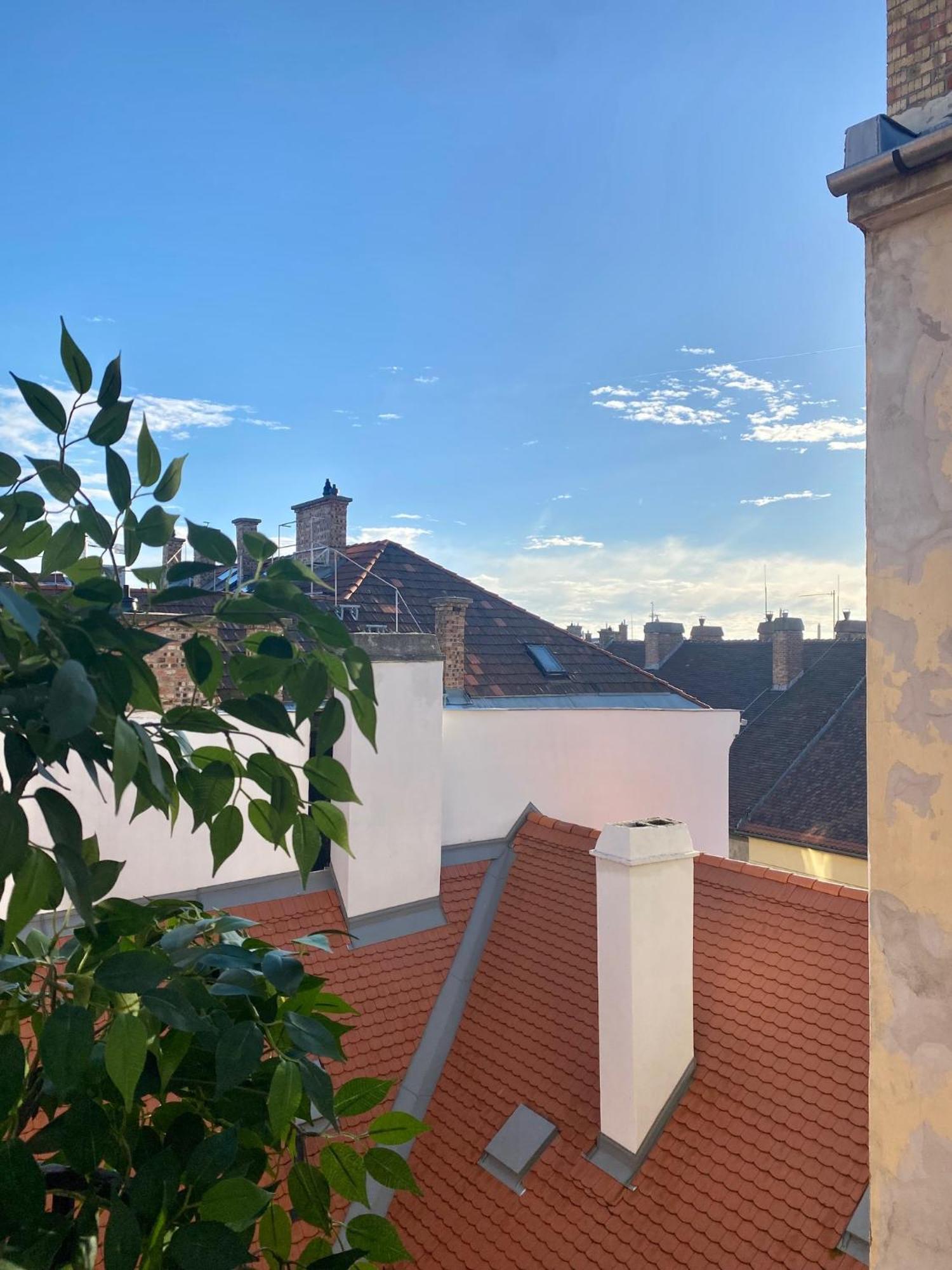 Apartment Scenic By Buda Castle