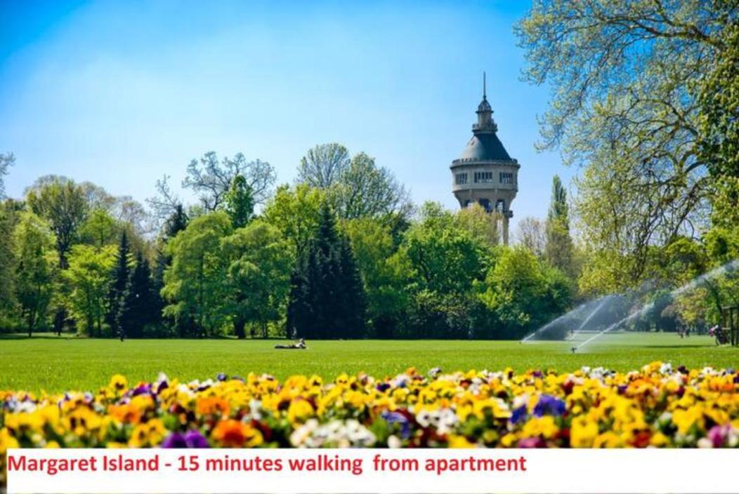 Full Danube -castle Panorama Classic Apartmán Budapest