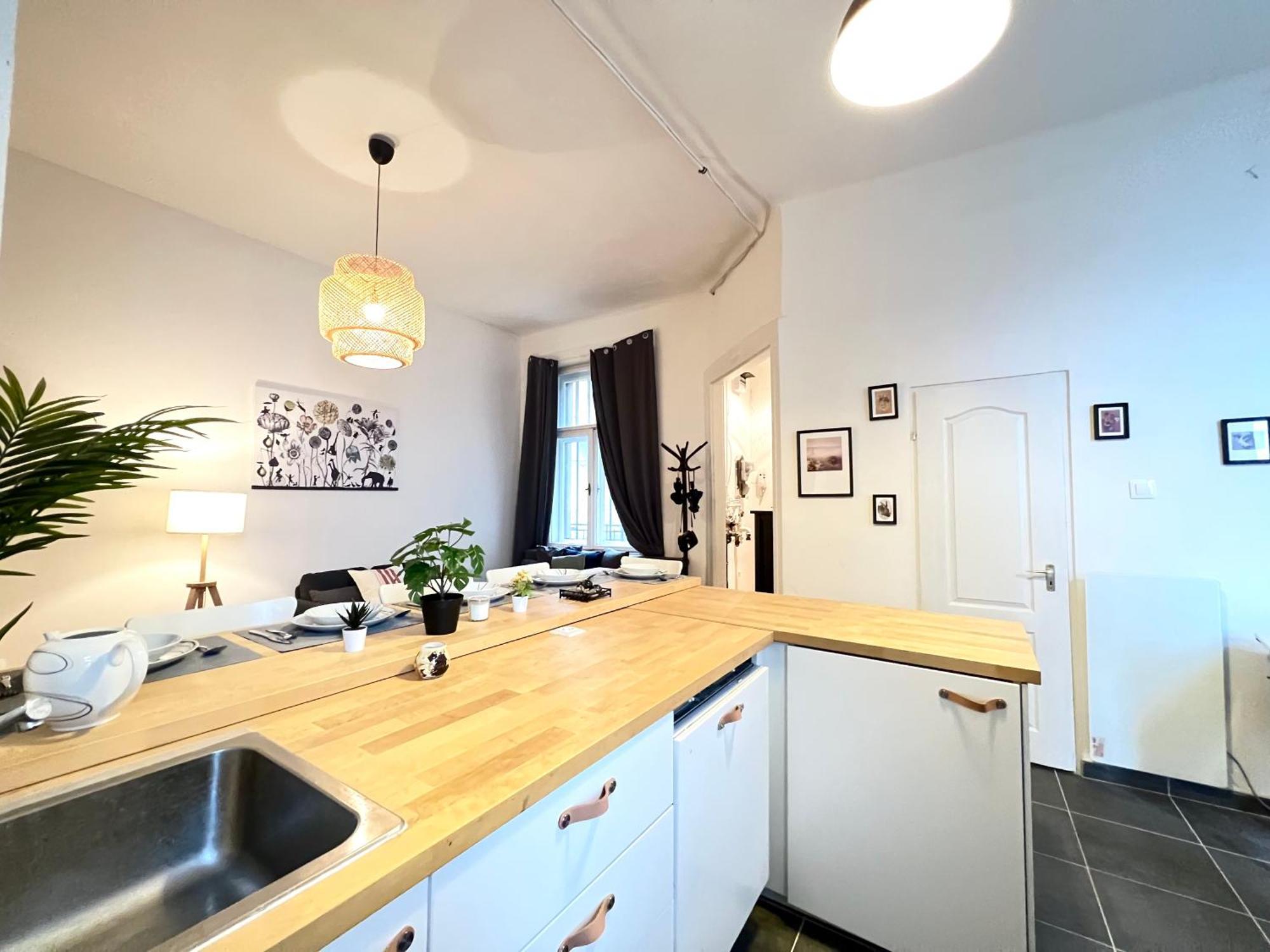 Appartement Rakoczi *